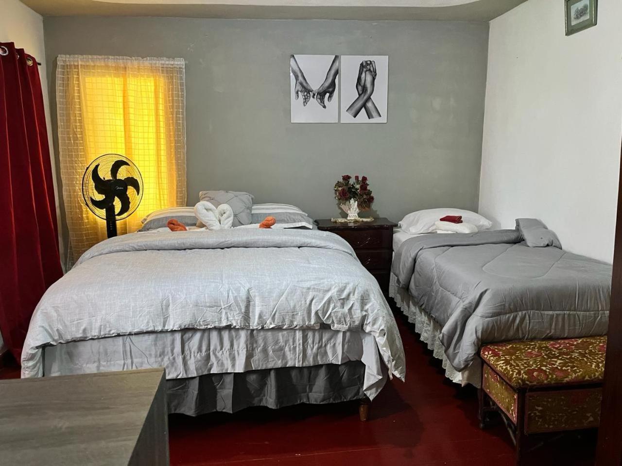 Nine Miles Cultural Hangouts And Tours Stepney Екстериор снимка